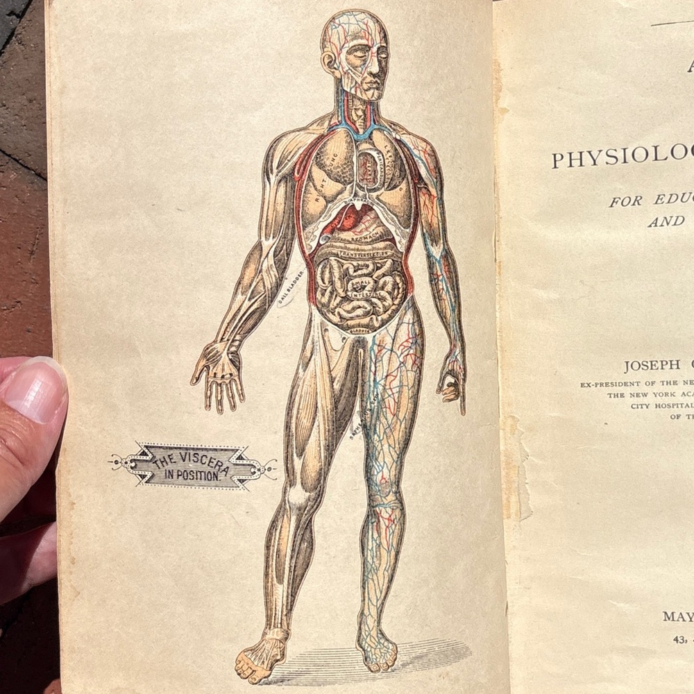 1897 Hutchison's Physiology and Hygiene Medicine Human Anatomy Skeleton Doctor
